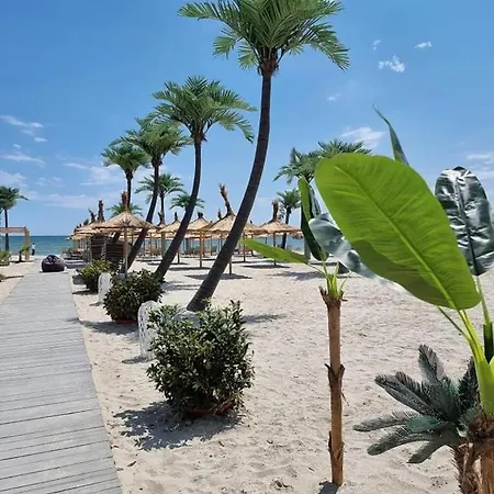 公寓 Apartament Ilaria Mamaia Nord *